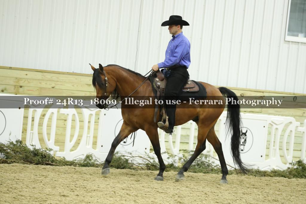 Proof 24R13_18069