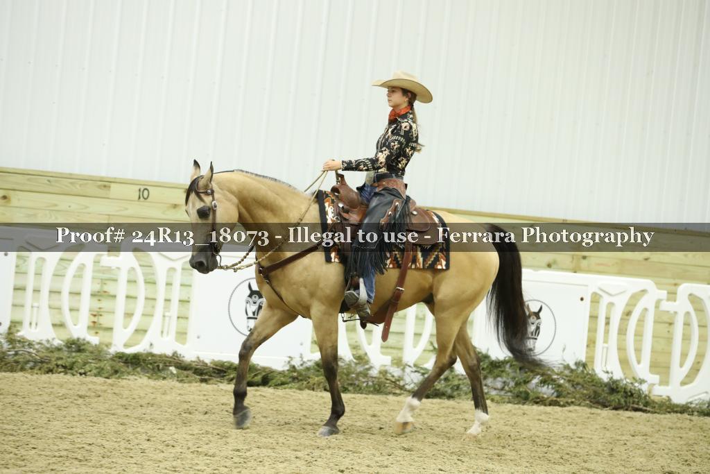 Proof 24R13_18073
