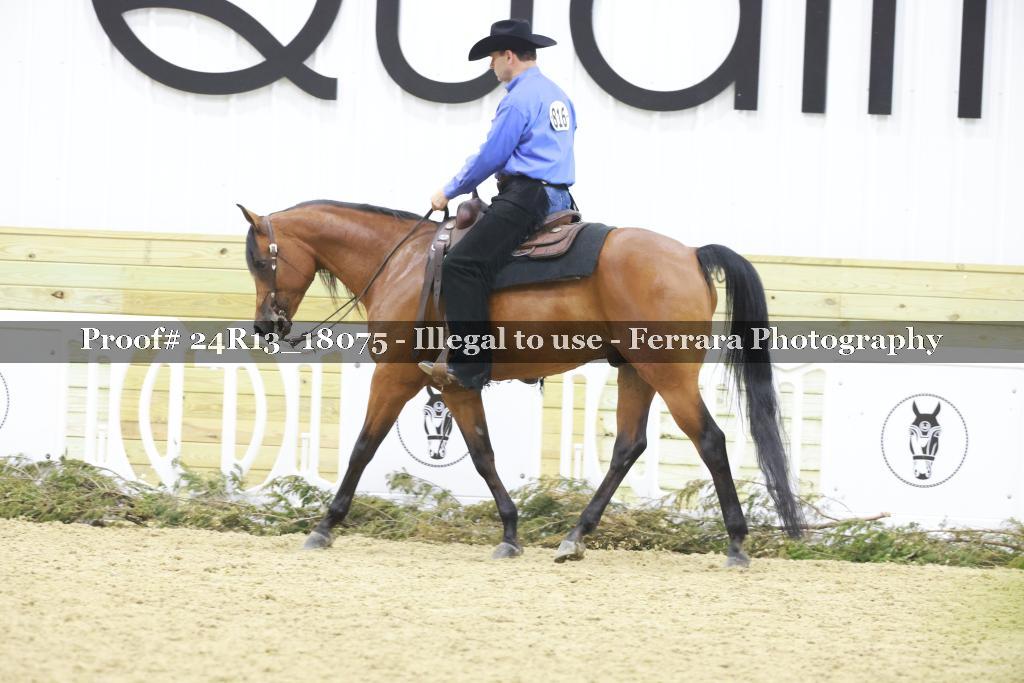 Proof 24R13_18075