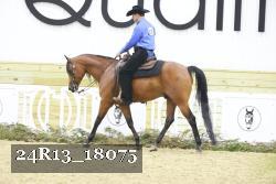 24R13_18075 proof