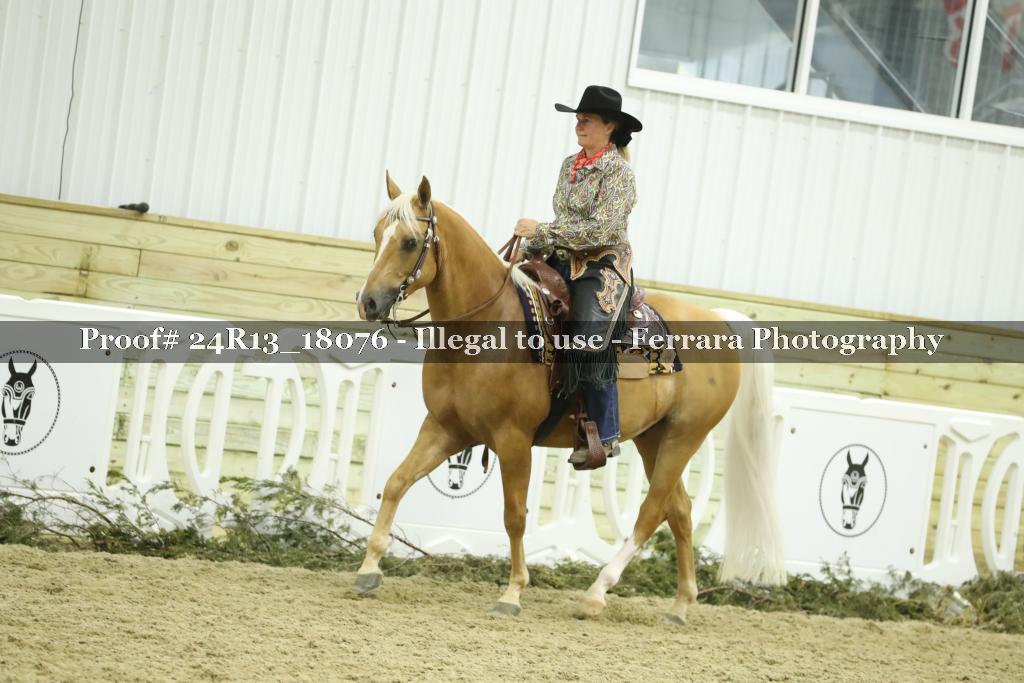 Proof 24R13_18076