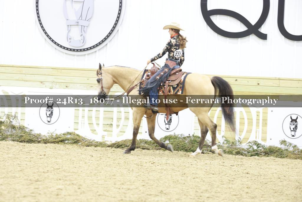 Proof 24R13_18077