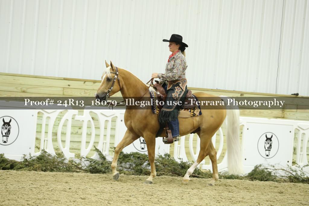 Proof 24R13_18079