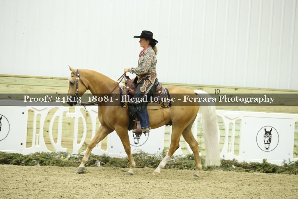 Proof 24R13_18081