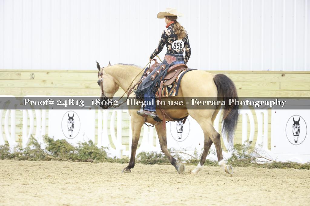 Proof 24R13_18082