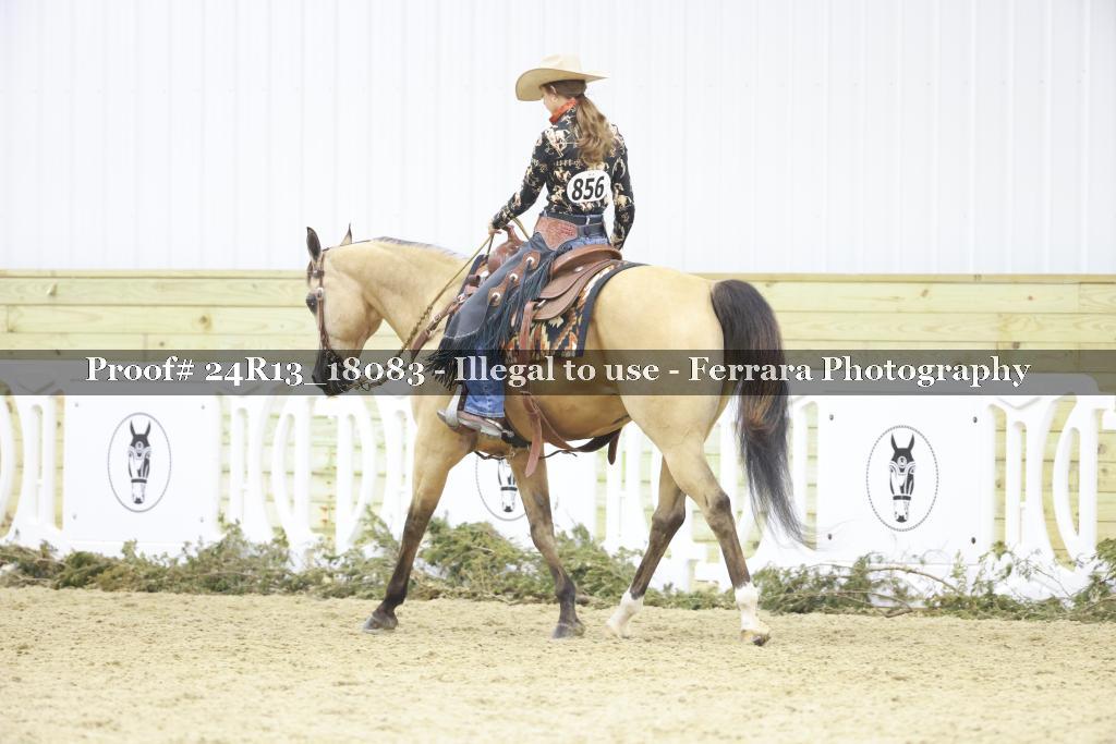 Proof 24R13_18083