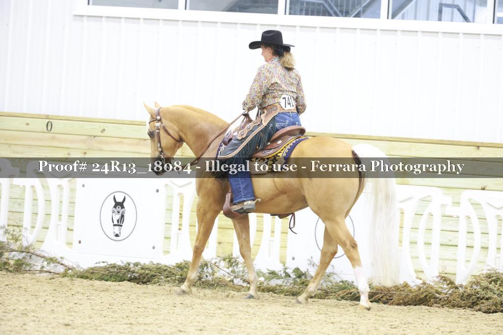 Proof 24R13_18084