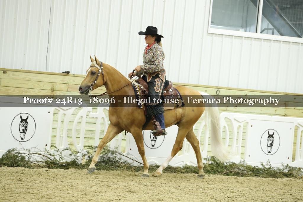 Proof 24R13_18096