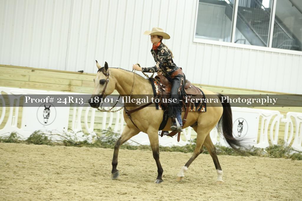 Proof 24R13_18101
