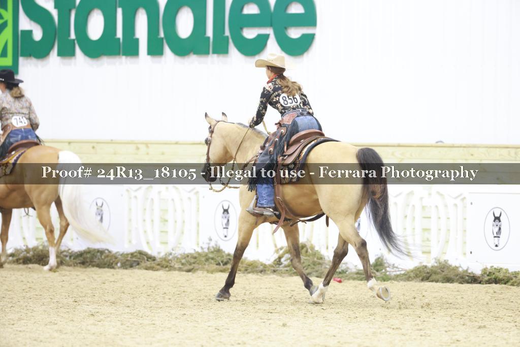Proof 24R13_18105