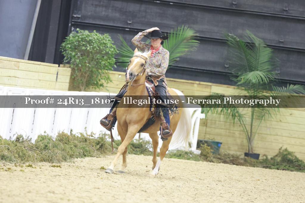Proof 24R13_18107