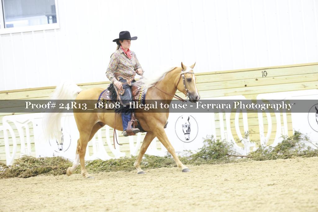 Proof 24R13_18108