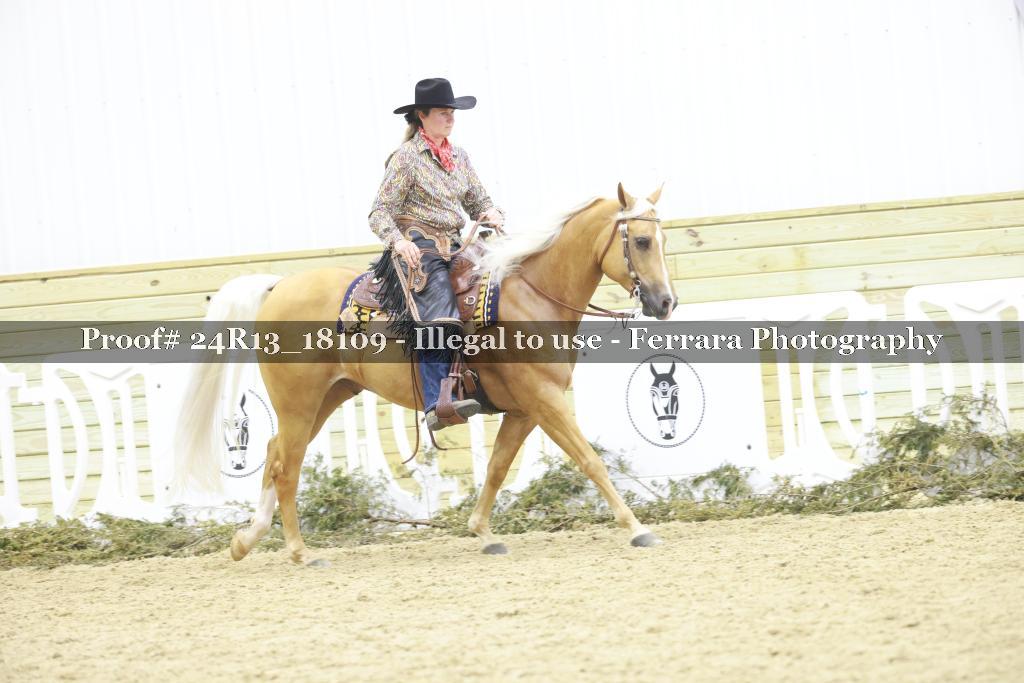 Proof 24R13_18109