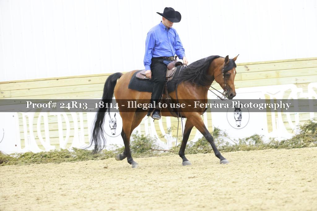 Proof 24R13_18114