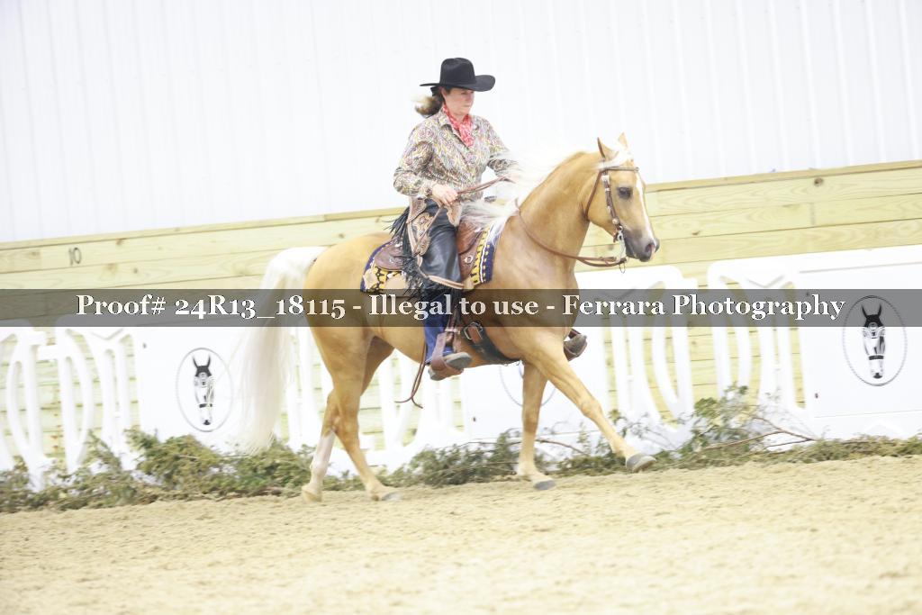 Proof 24R13_18115