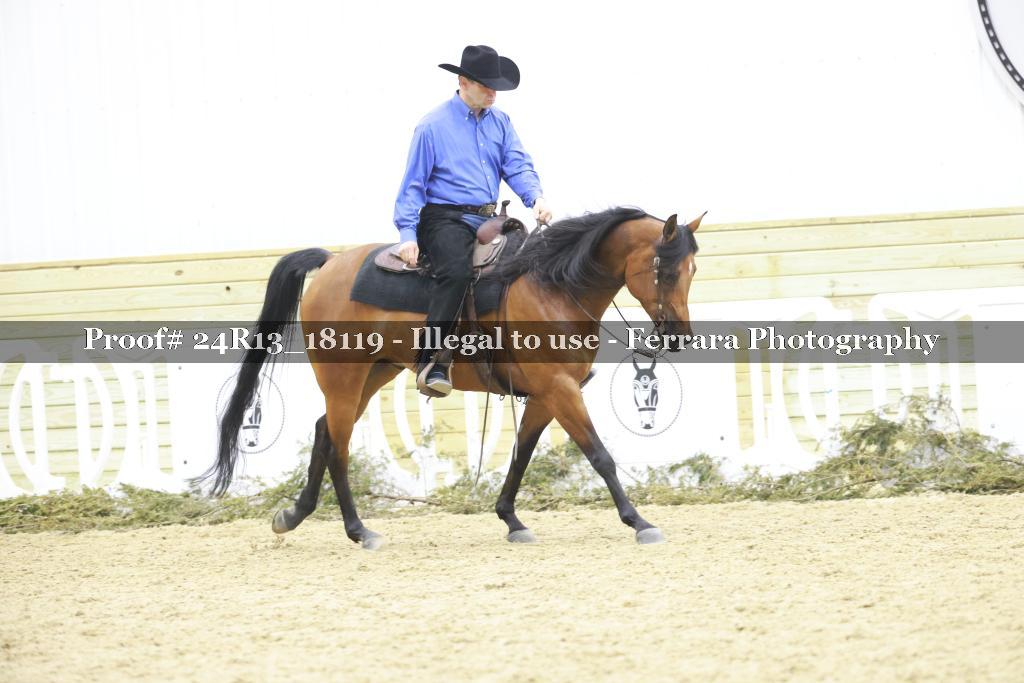Proof 24R13_18119