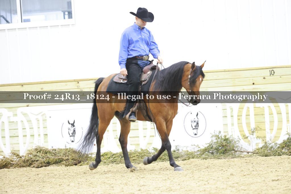 Proof 24R13_18124