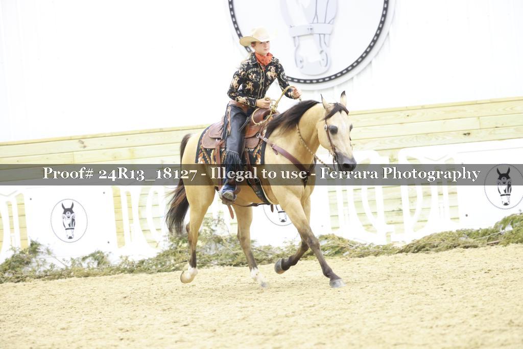 Proof 24R13_18127