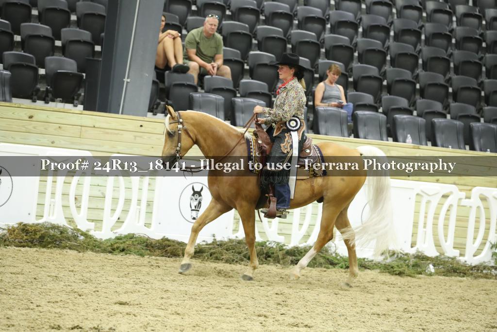 Proof 24R13_18141