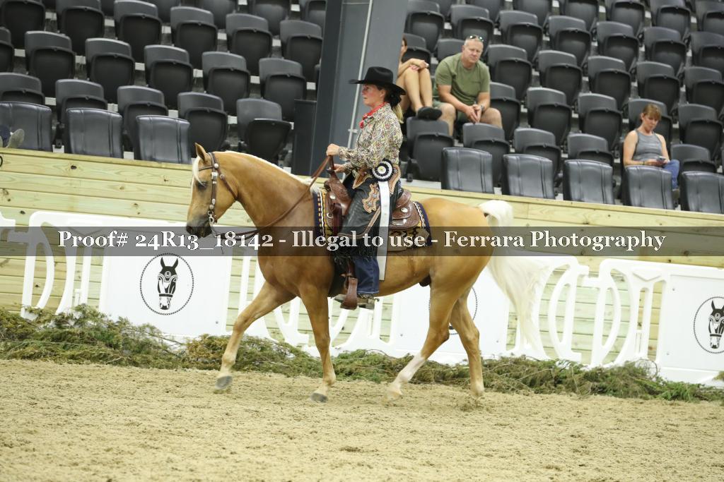 Proof 24R13_18142