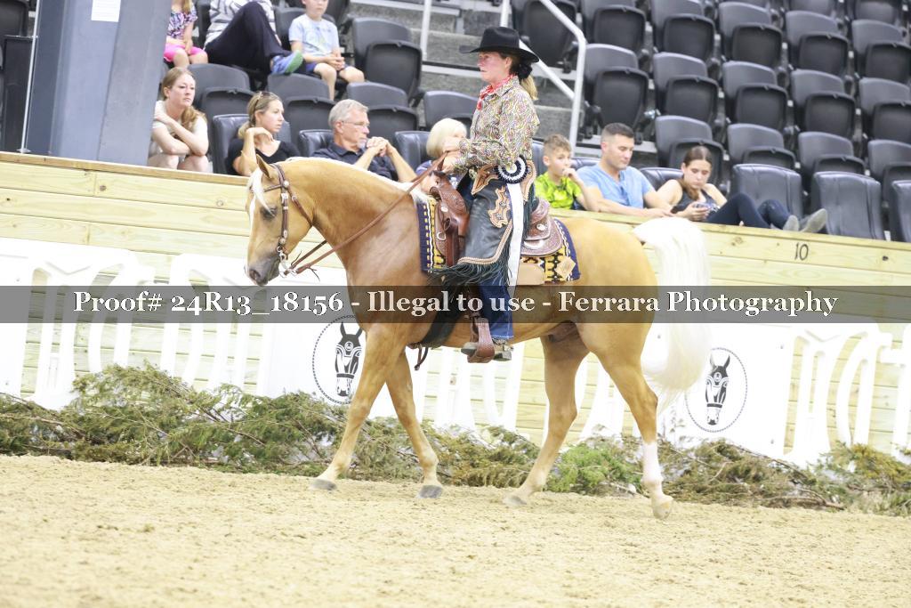 Proof 24R13_18156