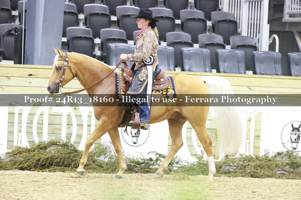 Proof 24R13_18160