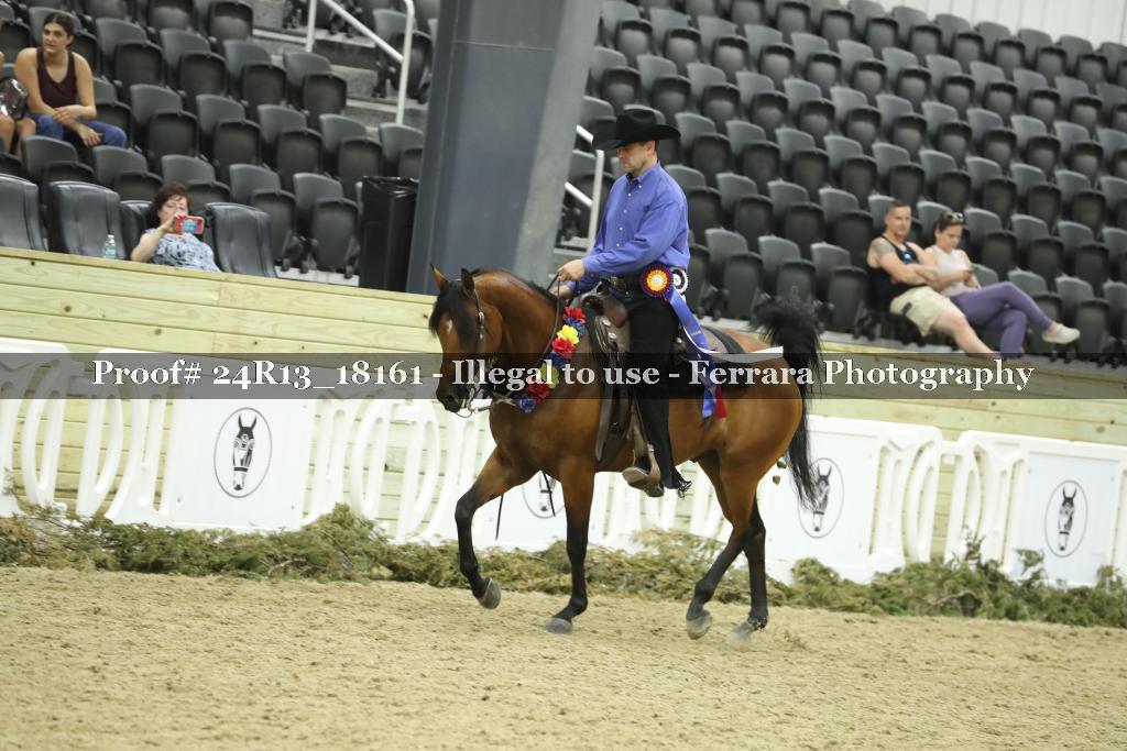 Proof 24R13_18161