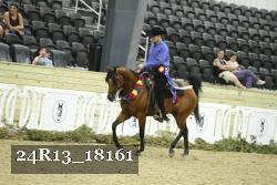 24R13_18161 proof