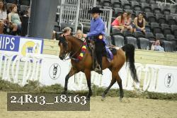 24R13_18163 proof