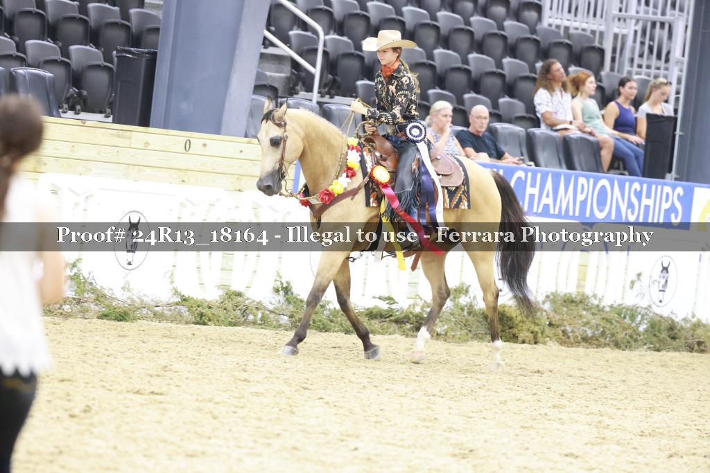 Proof 24R13_18164