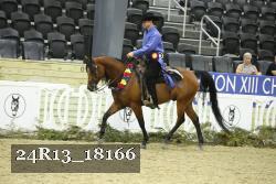 24R13_18166 proof