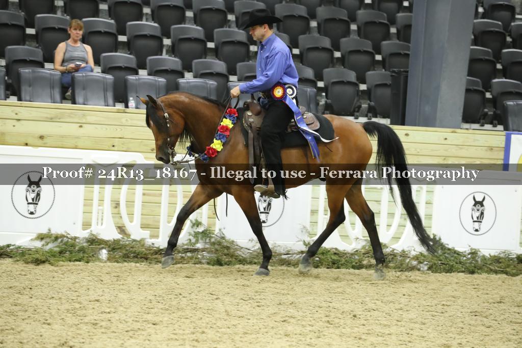 Proof 24R13_18167