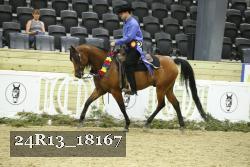 24R13_18167 proof