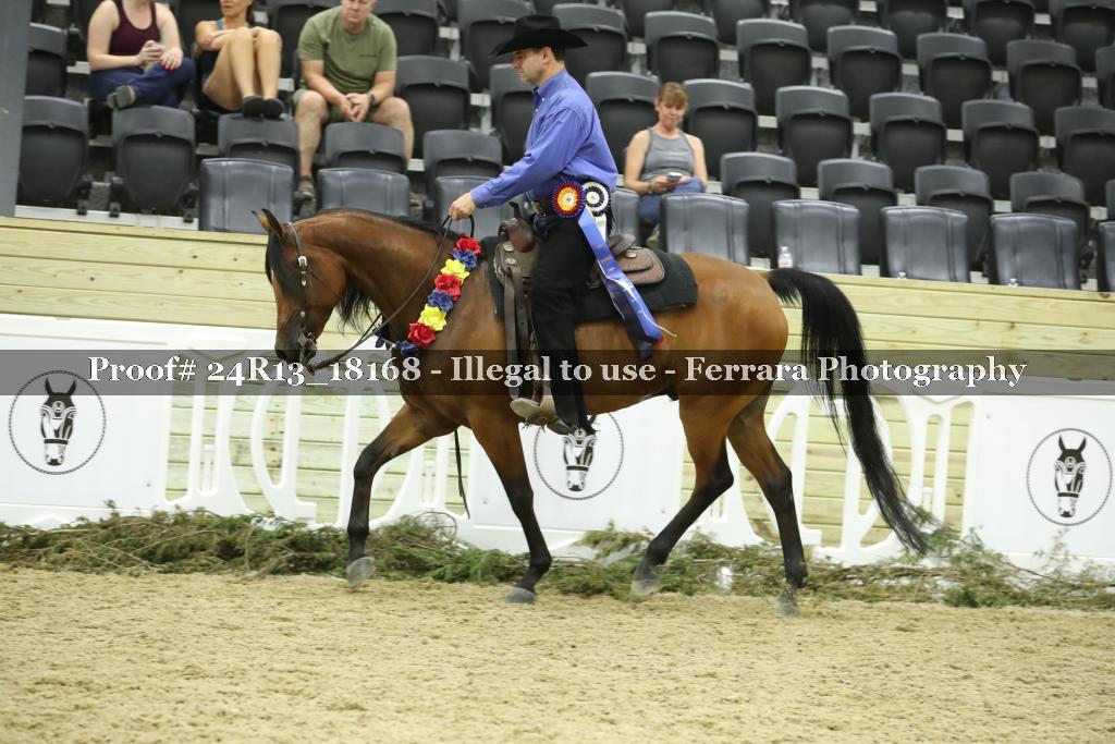 Proof 24R13_18168