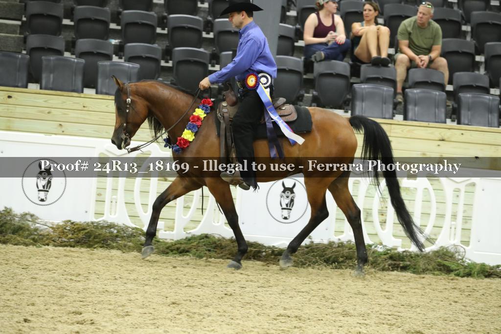 Proof 24R13_18169