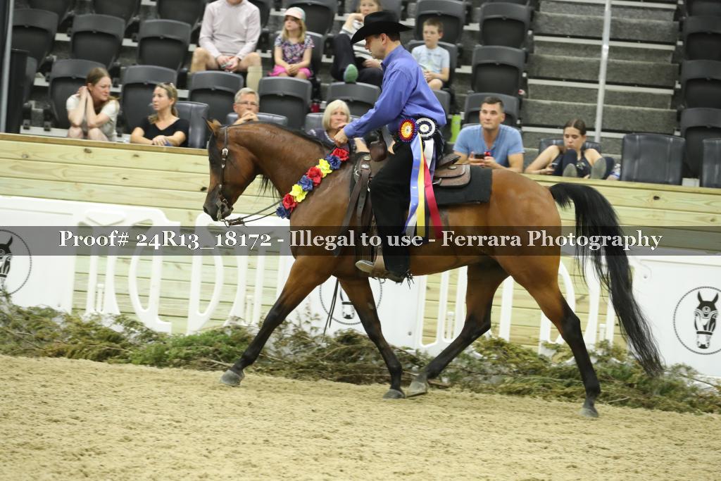 Proof 24R13_18172