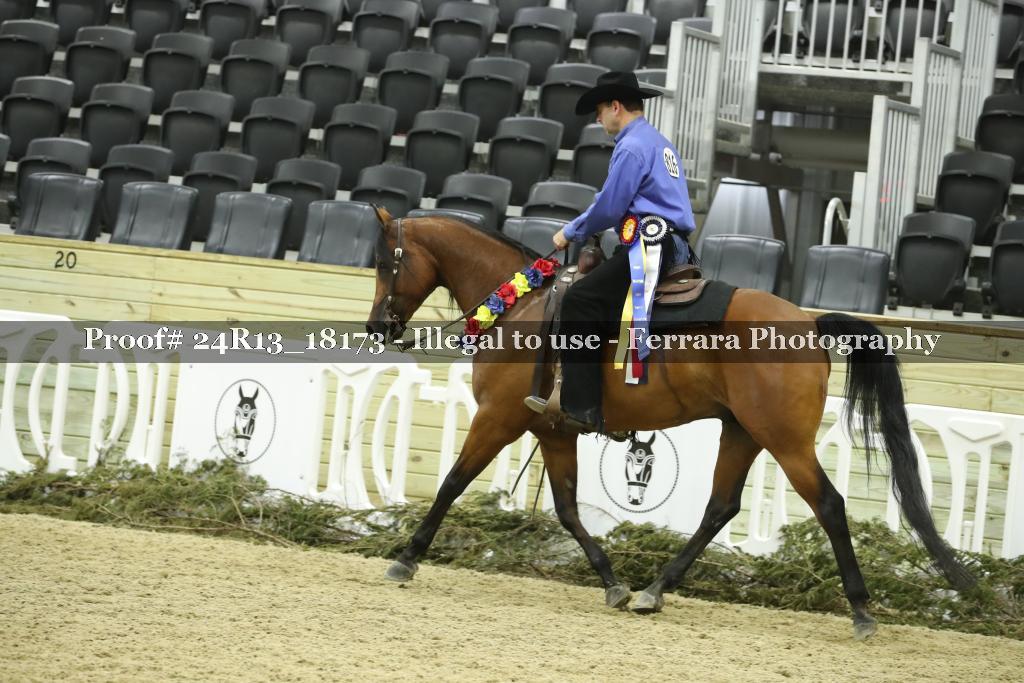 Proof 24R13_18173