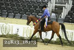 24R13_18173 proof