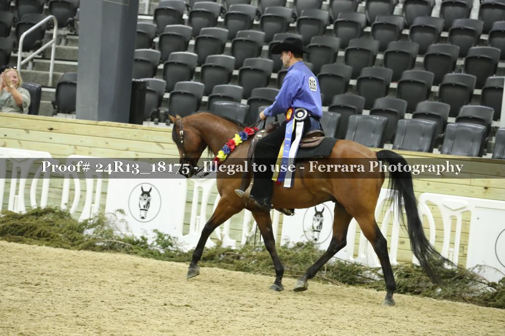 Proof 24R13_18175