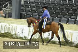 24R13_18175 proof