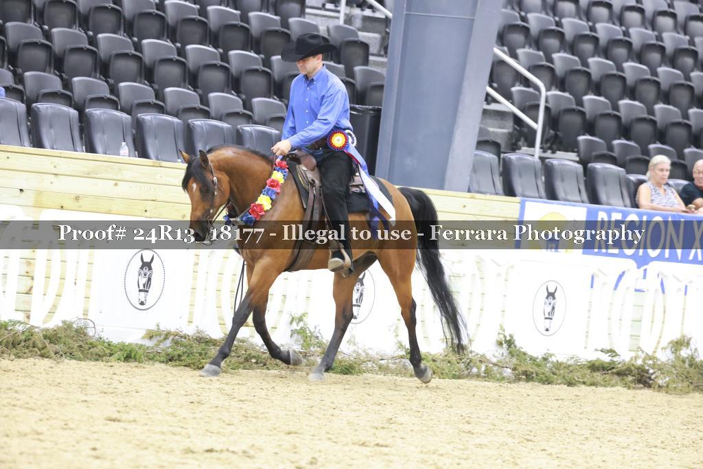 Proof 24R13_18177
