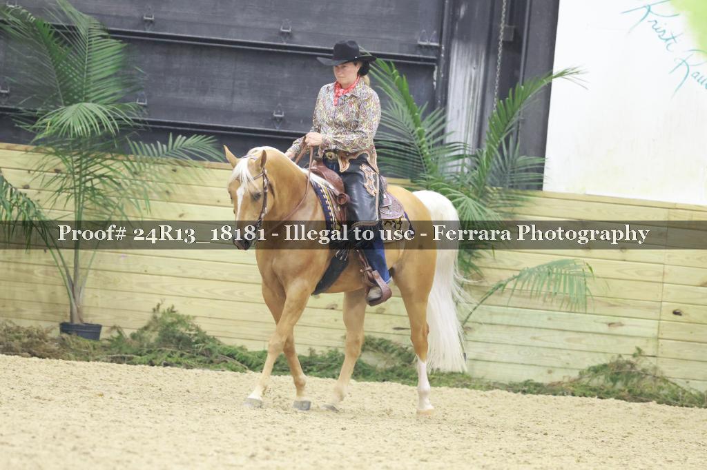 Proof 24R13_18181
