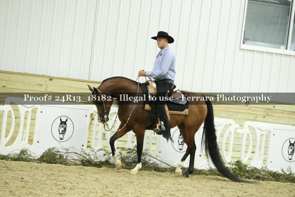 Proof 24R13_18182