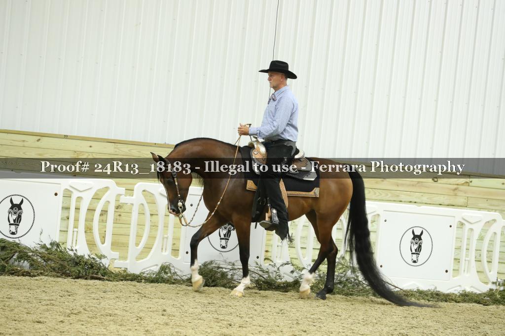 Proof 24R13_18183