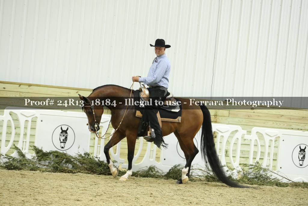 Proof 24R13_18184