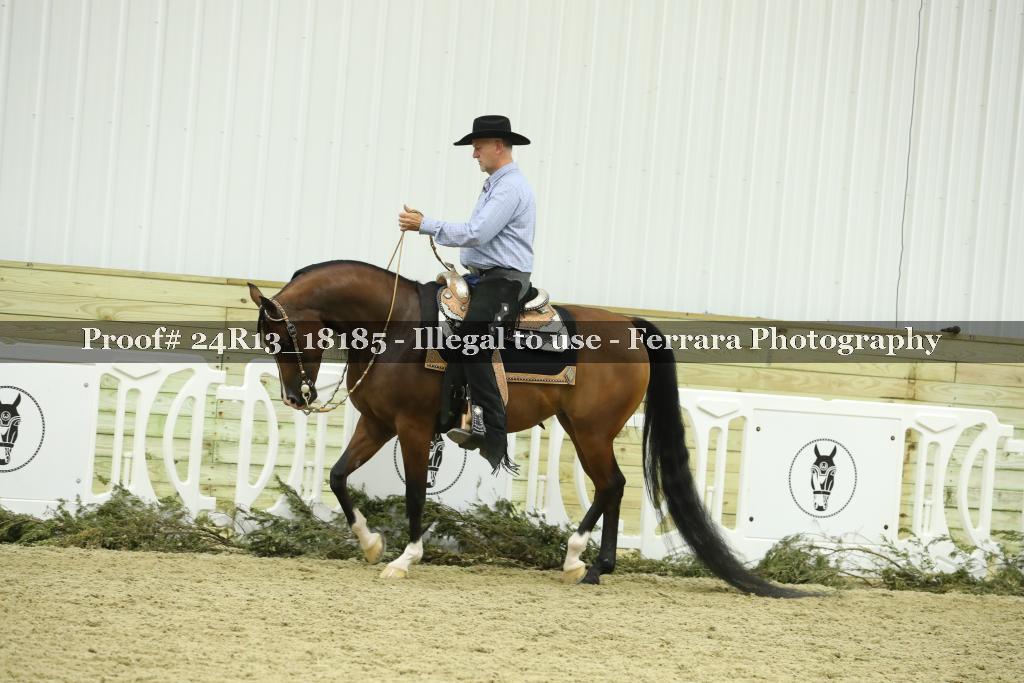 Proof 24R13_18185