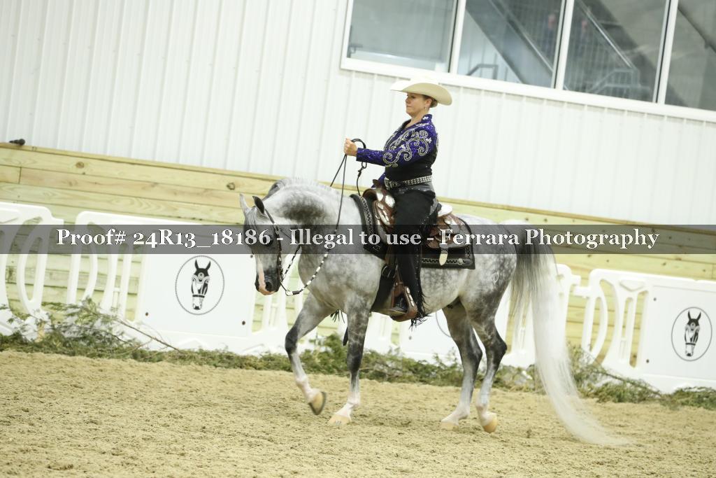Proof 24R13_18186