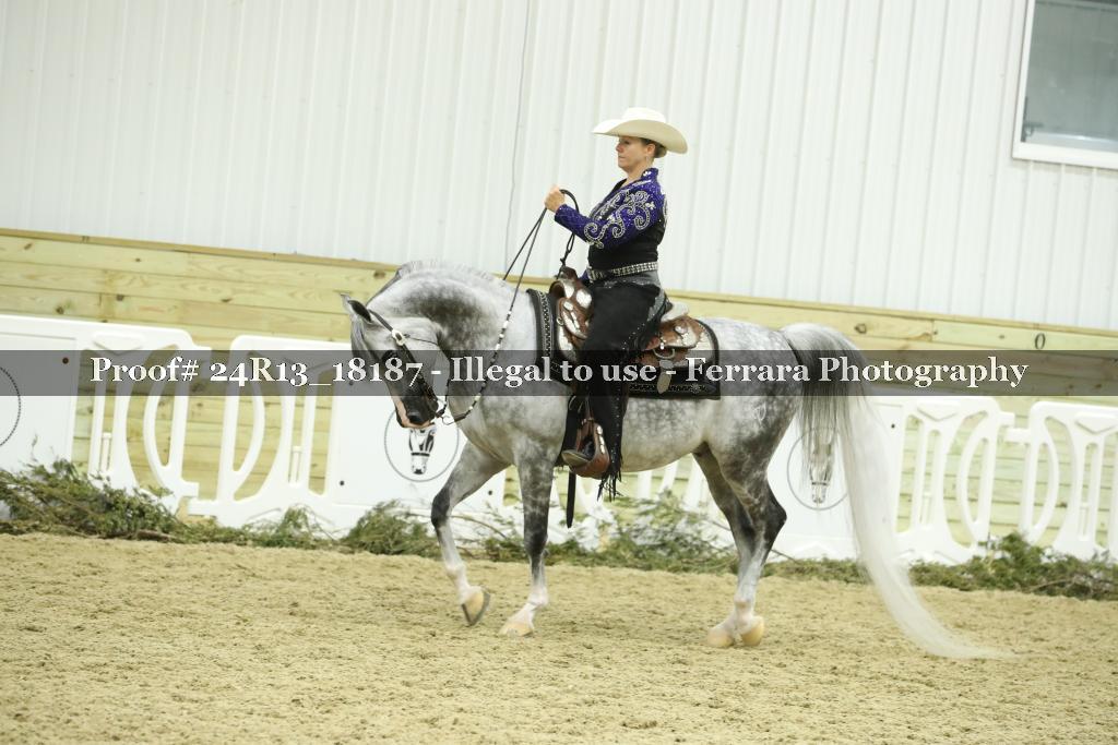 Proof 24R13_18187