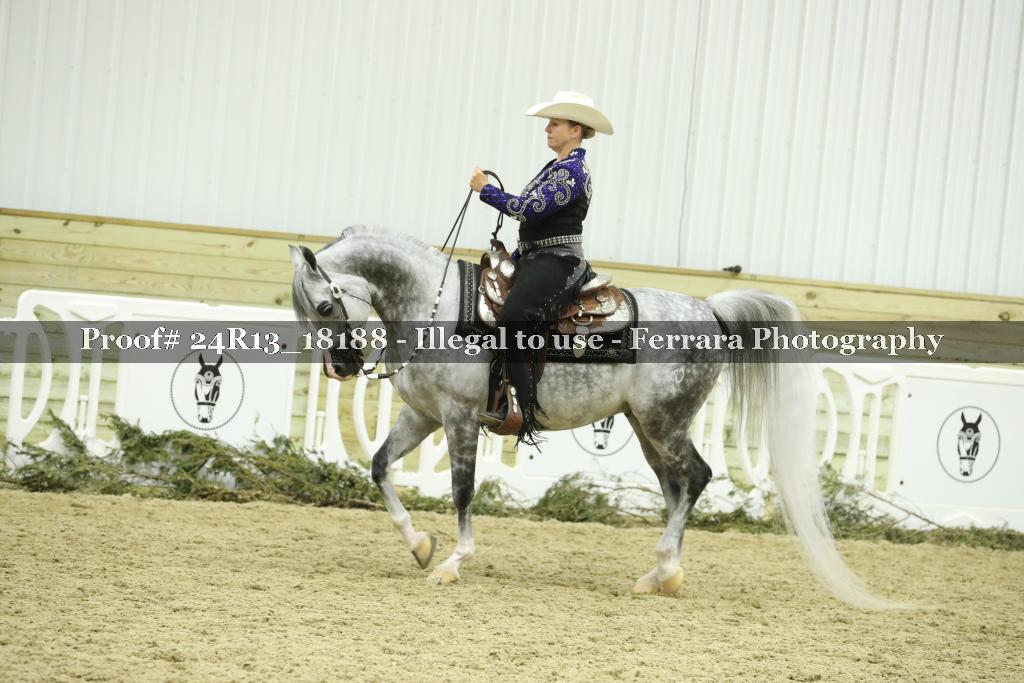 Proof 24R13_18188