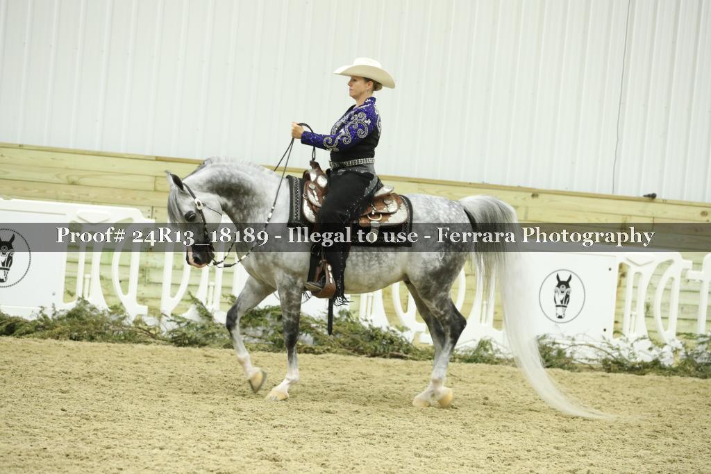 Proof 24R13_18189